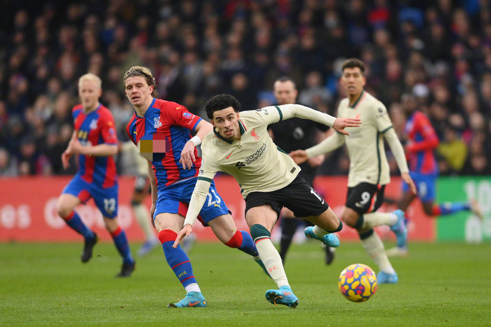 也进一步提 也进一步提